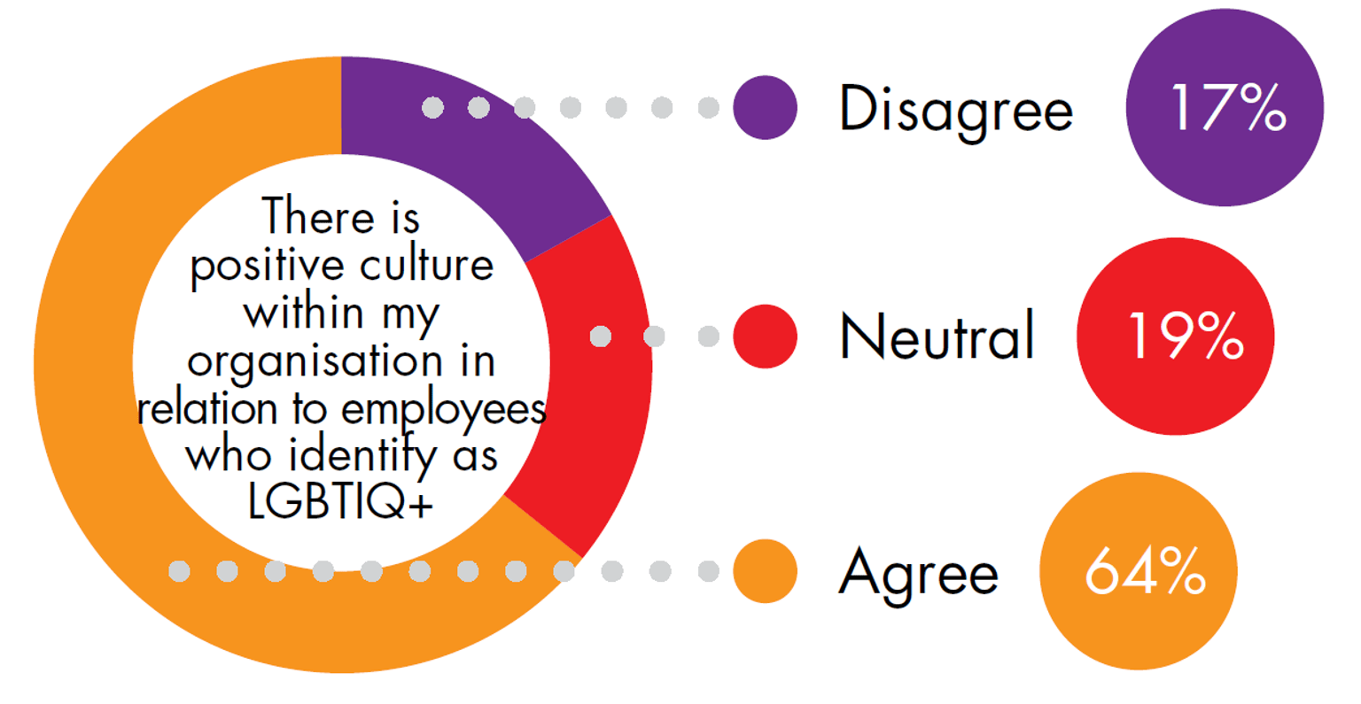 A pie chart with responses from Victoria Police's 2021 People Matter Survey. For the prompt "There is positive culture within my organisation in relation to employees who identify as LGBTIQ+", 19% employees disagreed, 19% responded with 'neutral' and 64% agreed.